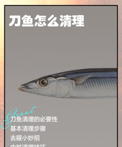 杀鱼,轻松上手,告别腥味烦恼 杀鱼,轻松上手,告别腥味烦恼