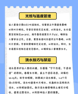 如何种仙人掌,轻松上手养护,打造家居绿意小角落 如何种仙人掌,轻松上手养护,打造家居绿意小角落