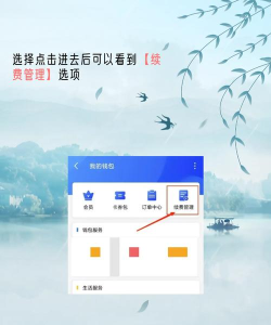 wps会员怎么取消,轻松解决续费烦恼,快速掌握操作步骤 wps会员怎么取消,轻松解决续费烦恼,快速掌握操作步骤