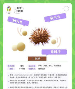 种子是怎么来的,揭秘植物繁衍奥秘,探索生命起源之旅 种子是怎么来的,揭秘植物繁衍奥秘,探索生命起源之旅