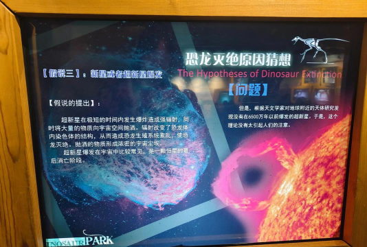 它们是怎么来的,探寻起源之谜,揭示背后故事 它们是怎么来的,探寻起源之谜,揭示背后故事