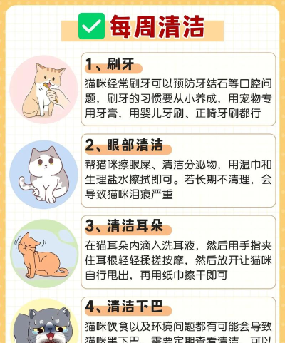 如何给小猫洗澡,轻松搞定洗澡难题,让猫咪爱上清洁时光 如何给小猫洗澡,轻松搞定洗澡难题,让猫咪爱上清洁时光
