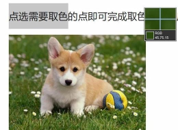 ppt取色器怎么用,轻松提取颜色,快速美化幻灯片 ppt取色器怎么用,轻松提取颜色,快速美化幻灯片