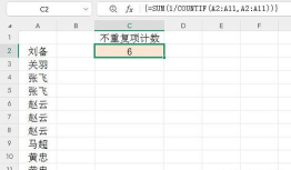 怎样筛选excel中重姓的人 怎样筛选excel中重姓的人