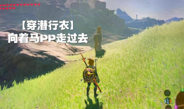 荒野之息白马,轻松捕捉攻略,获取最强坐骑 荒野之息白马,轻松捕捉攻略,获取最强坐骑