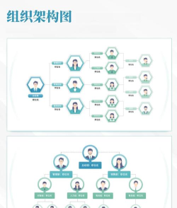 ppt怎么绘制组织结构图 ppt怎么绘制组织结构图