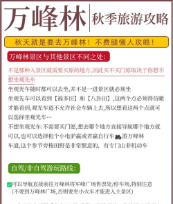 森林游戏怎么玩,新手入门指南,生存技巧全解析 森林游戏怎么玩,新手入门指南,生存技巧全解析