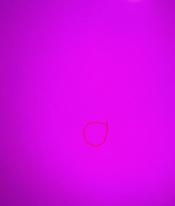 如何检查屏幕坏点,快速识别屏幕瑕疵,确保显示效果完美 如何检查屏幕坏点,快速识别屏幕瑕疵,确保显示效果完美