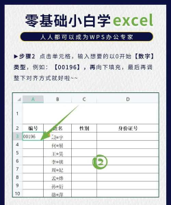 怎么在excel里添加数字 怎么在excel里添加数字