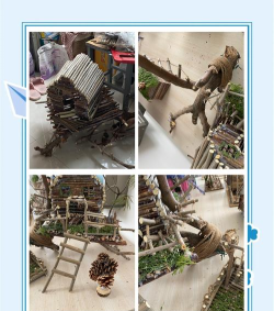 小木屋怎么做,从零开始搭建,享受自然生活乐趣 小木屋怎么做,从零开始搭建,享受自然生活乐趣