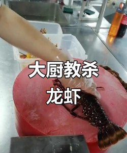 如何捕龙虾,掌握高效技巧,享受丰收乐趣 如何捕龙虾,掌握高效技巧,享受丰收乐趣