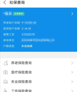 羊城通余额,查询方法大全,轻松掌握卡内资金 羊城通余额,查询方法大全,轻松掌握卡内资金