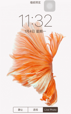 怎么用动态壁纸,轻松设置手机桌面,打造个性化视觉体验 怎么用动态壁纸,轻松设置手机桌面,打造个性化视觉体验